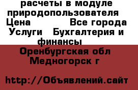 расчеты в модуле природопользователя › Цена ­ 3 000 - Все города Услуги » Бухгалтерия и финансы   . Оренбургская обл.,Медногорск г.